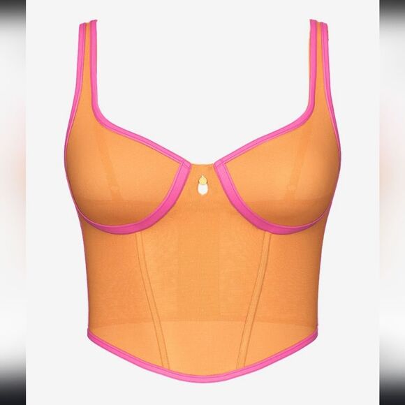 1322 NWT Victoria's Secret PINK Wink Charmed Fruit Corset Top Large - Picture 1 of 8